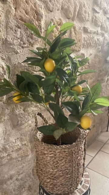 Le Rouget Lägenhet Beaucaire  Exteriör bild